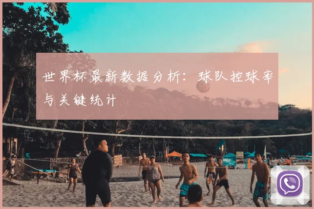 世界杯最新数据分析：球队控球率与关键统计