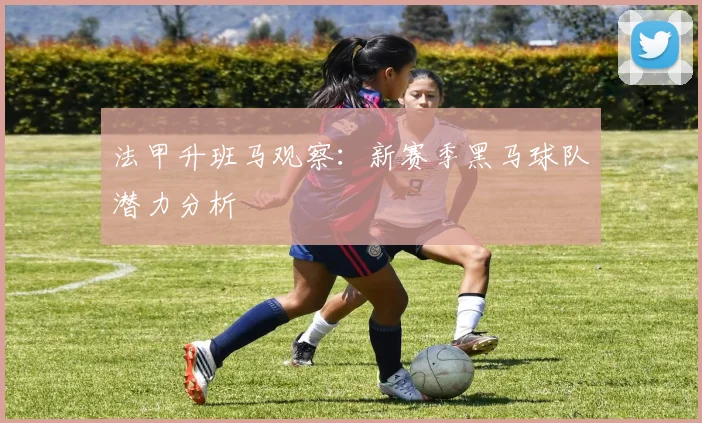 法甲升班马观察:新赛季黑马球队潜力分析