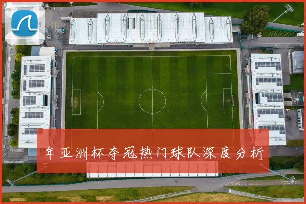 年亚洲杯夺冠热门球队深度分析