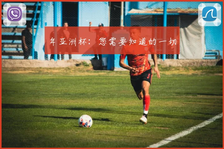 年亚洲杯:您需要知道的一切